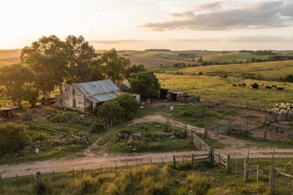 Compra inmuebles rurales en Uruguay ante cambios legales que afectan inversores