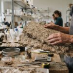 Paneles de micelio en Mendoza: biomaterial que redefine construcción sostenible